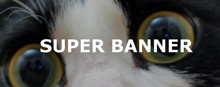 Top banner