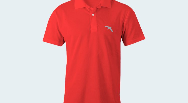 polo_T_shirt