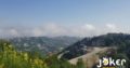 Land for Sale in Raachine
