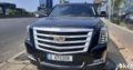 Escalade Cadillac platinum