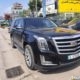 Escalade Cadillac platinum