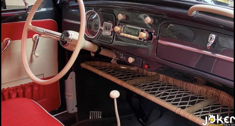 B1A1EFEF-2DED-43C7-BC89-311F5A86CEC7