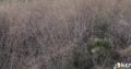 Land for Sale in Bhamdoun
