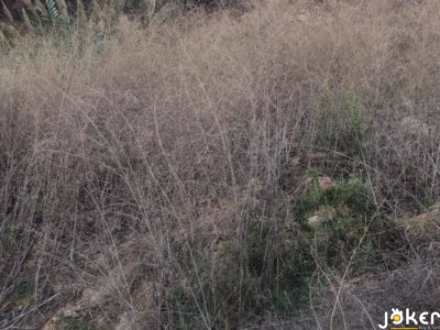 Land for Sale in Bhamdoun