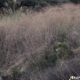 Land for Sale in Bhamdoun