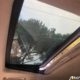 Range Rover HSE
