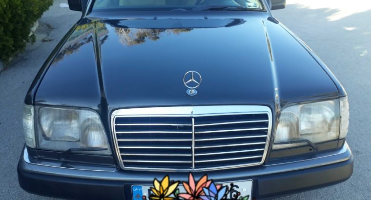 MyImage1618594286448Image