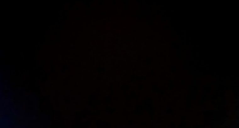 MyImage1618954757110Image