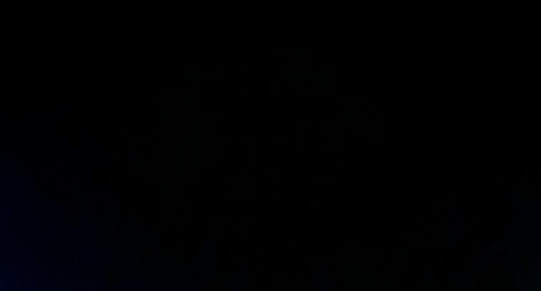 MyImage1619033445274Image