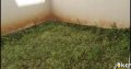Duplex for Sale in Rabwe