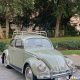 Volkswagen Beetle 1959