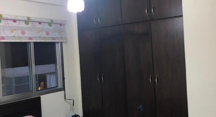 MyImage1621190202623Image