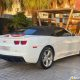 Camaro ZL1 look 2019
