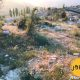 Land for sale in Tilal Al Assal