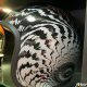 Motorcycle Dot helmets