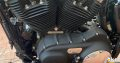 Harley Davidson Sporster 2015