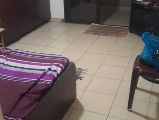 MyImage1624286665532Image