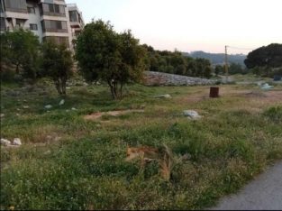 Land for sale in Barouk