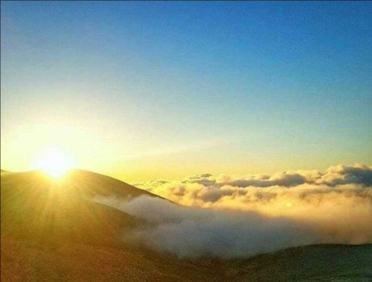 Land for sale in Tannourine El Fawka