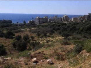 Land for sale in Kfar _Abida