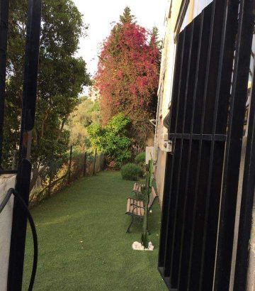 MyImage1624964578272Image
