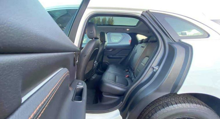 MyImage1625934987974Image