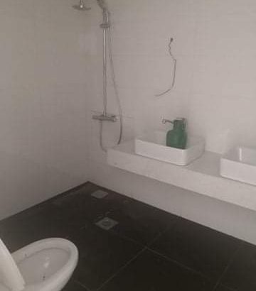 MyImage1628177849564Image