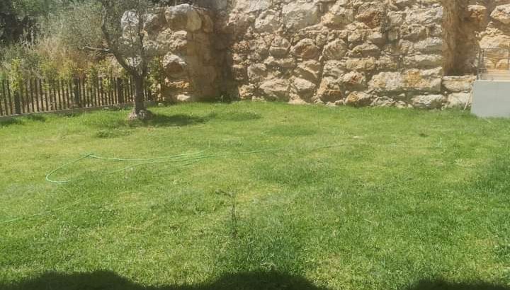 MyImage1628177851022Image
