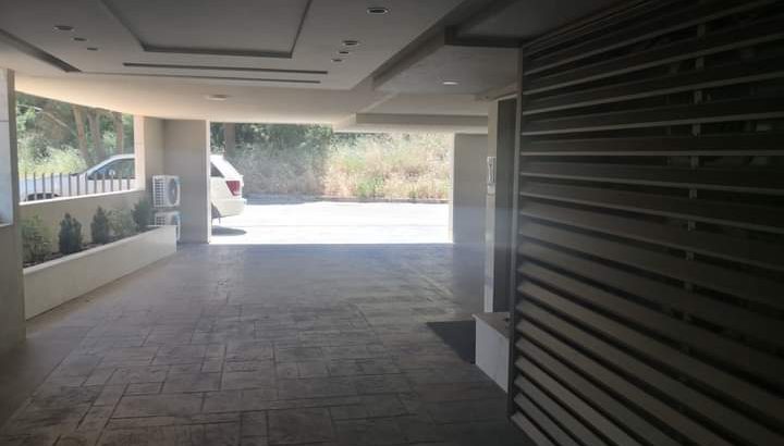 MyImage1628187346025Image