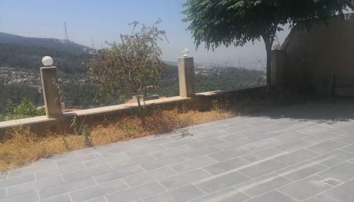 MyImage1628187669665Image