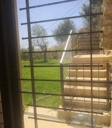 MyImage1628532077435Image