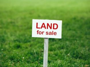Land for sale in Hammana