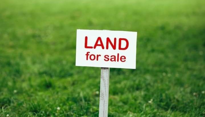 Land for sale in Hammana