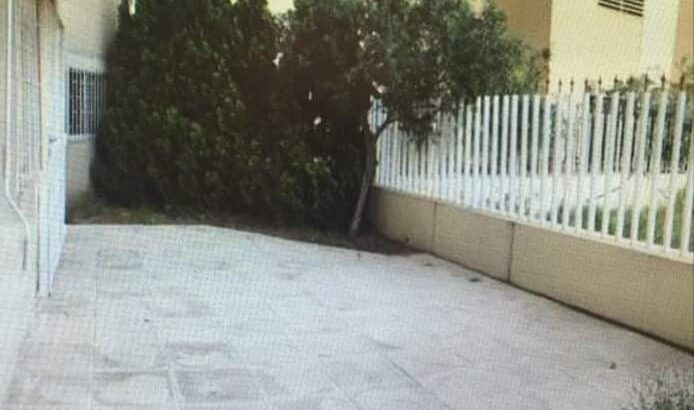 MyImage1628613432907Image