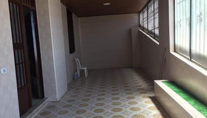 MyImage1630052412849Image