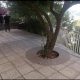 Apartment for sale in Brommena