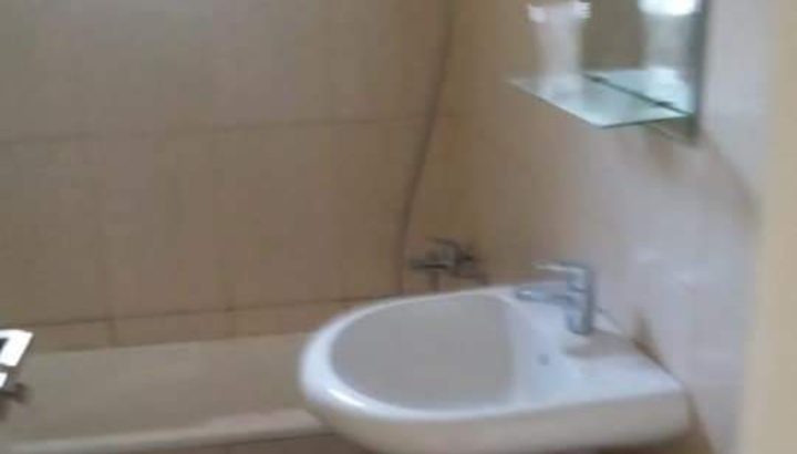 MyImage1630491941727Image