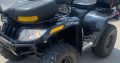 ATV article cat 2009