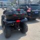 ATV article cat 2009