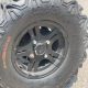 ATV article cat 2009