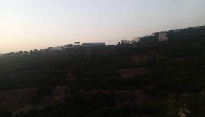 MyImage1631526821002Image