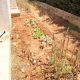 Apartment for sale in Rabweh