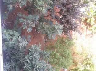 Apartment for sale in Mtayleb