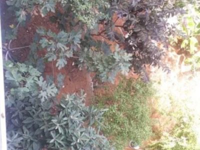 Apartment for sale in Mtayleb