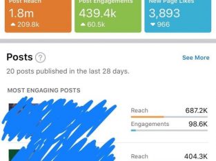 Facebook page (301 000 followers) + instagram account (22 000 followers) for sale