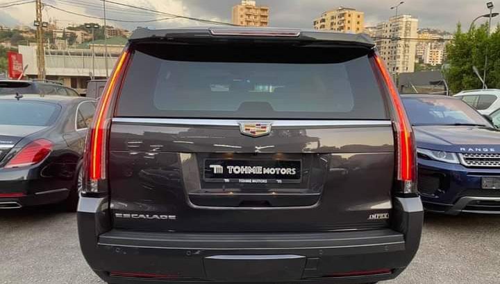 MyImage1632047939296Image