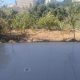 Apartment for sale in Bkenneya Byekout