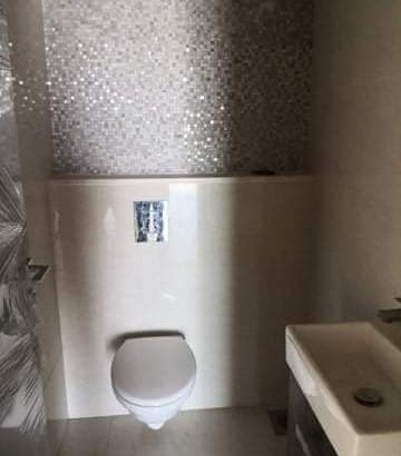 MyImage1634731728280Image