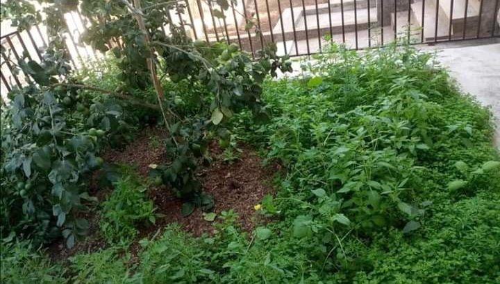 Apartment for sale in Kornet El Hamra