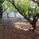 Apartment for sale in Kornet El Hamra